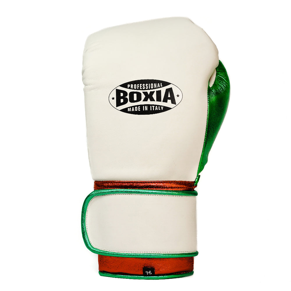 GBS One - Boxing gloves - Tricolore Limited