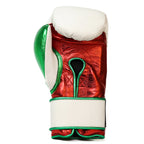 GBS One - Boxing gloves - Tricolore Limited